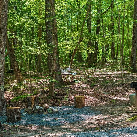 Coyote Cabin At Woodland Retreat At Desoto Beside Desoto State Park Fort Payne Ngoại thất bức ảnh