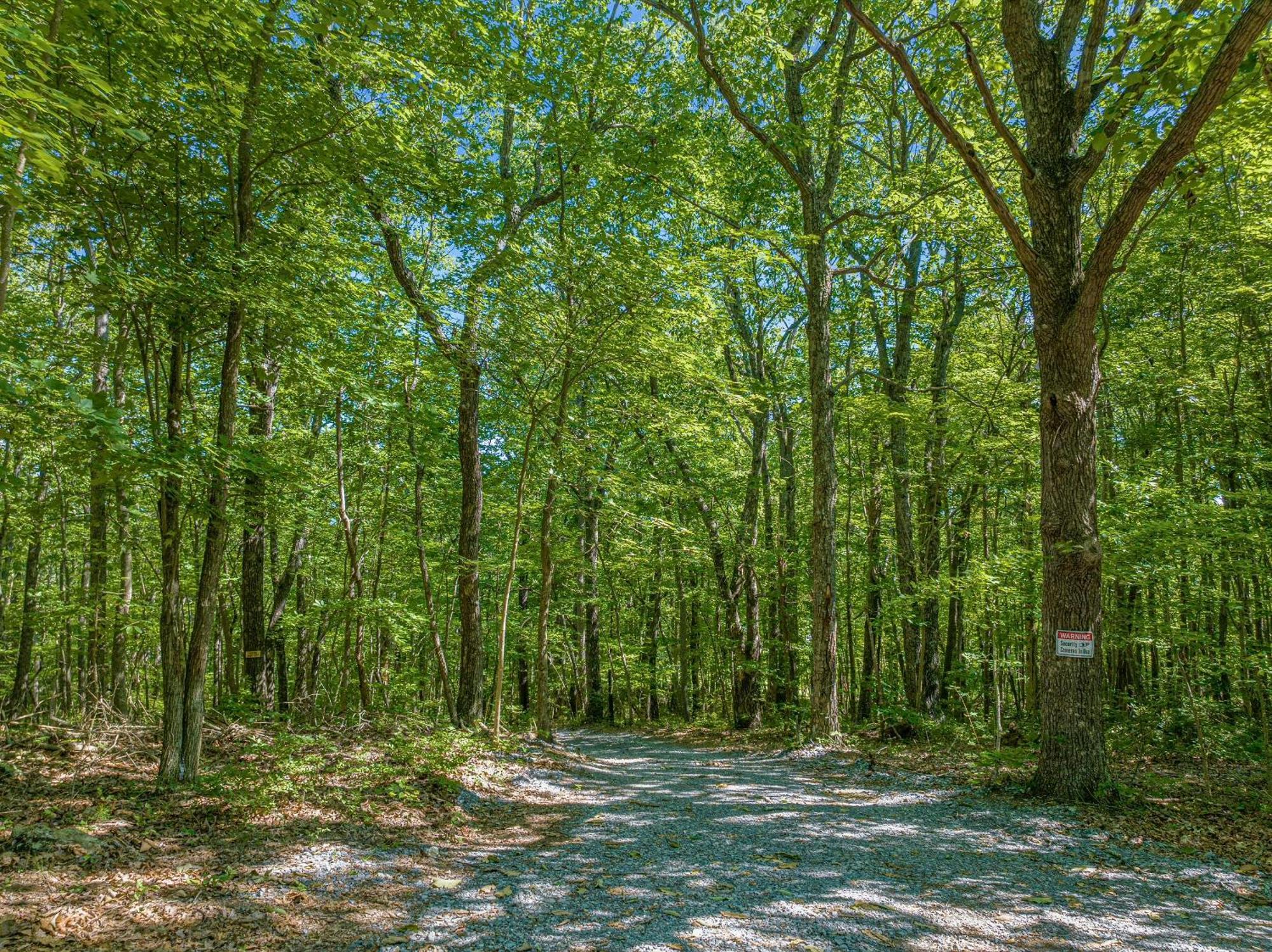 Coyote Cabin At Woodland Retreat At Desoto Beside Desoto State Park Fort Payne Ngoại thất bức ảnh