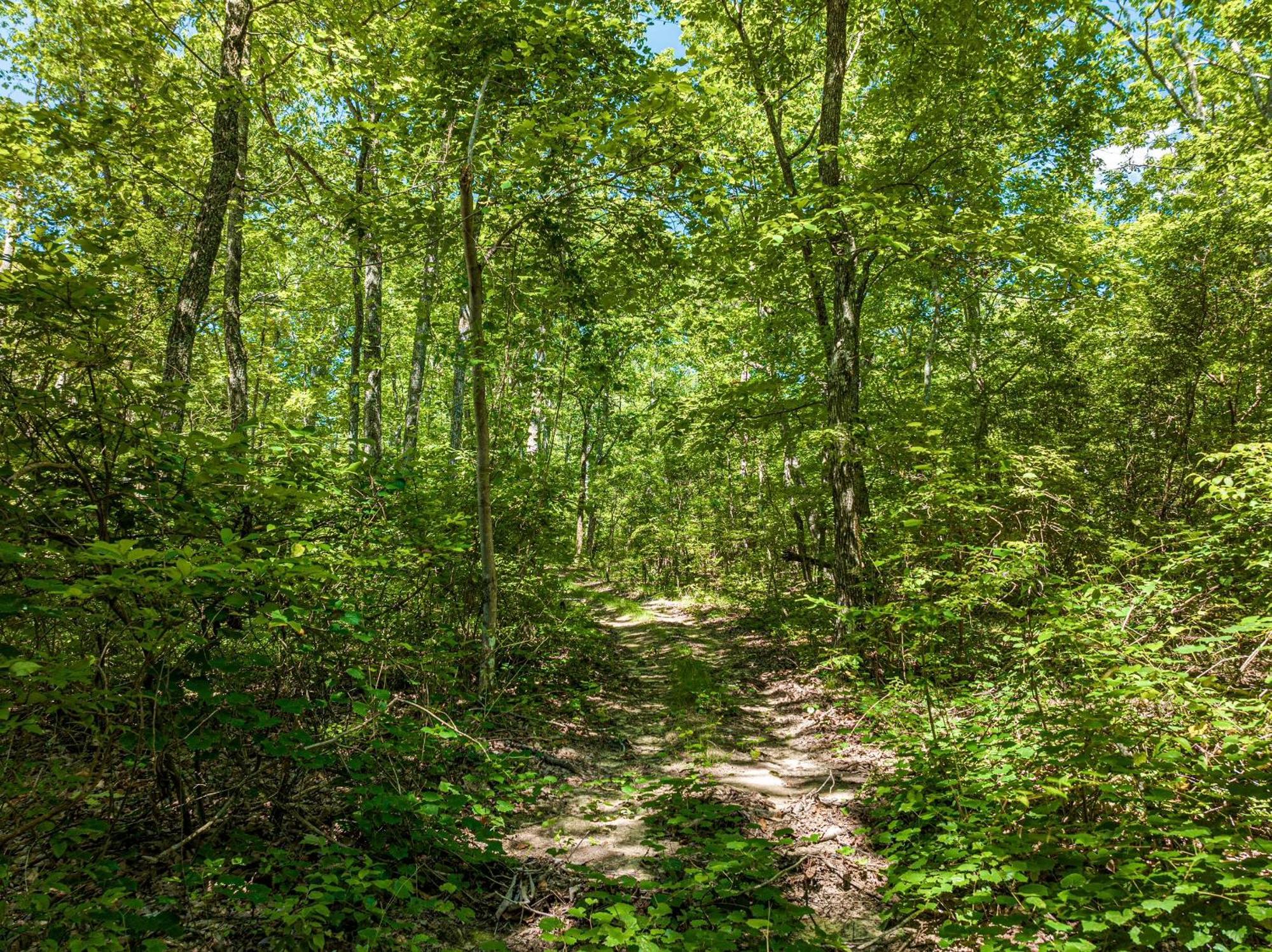 Coyote Cabin At Woodland Retreat At Desoto Beside Desoto State Park Fort Payne Ngoại thất bức ảnh
